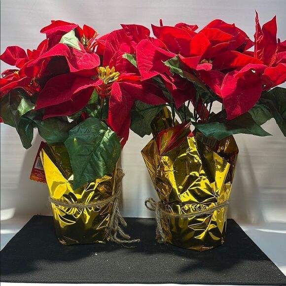 Ashland Red and Green Poinsettia Arrangement with Gold Wrap - Picture 2 of 7
